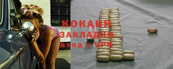 шишки Инсар