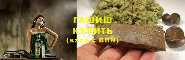 шишки Инсар