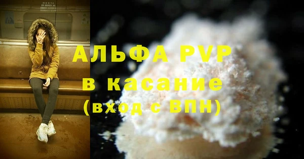 шишки Инсар