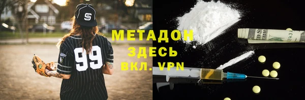 шишки Инсар