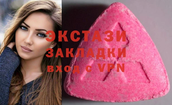 шишки Инсар
