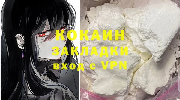 шишки Инсар