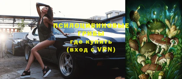 шишки Инсар