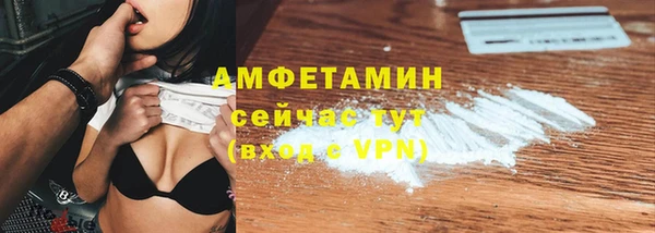 шишки Инсар