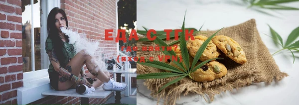 шишки Инсар