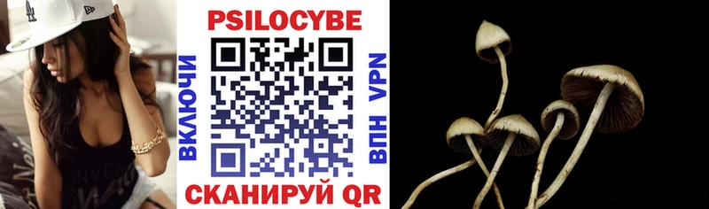 Галлюциногенные грибы Psilocybine cubensis  Купить где  Новоржев 